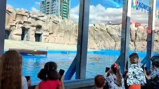3 сентября 2023 г.