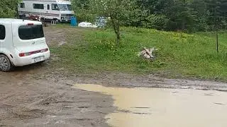 @RemsFamily to help a bit