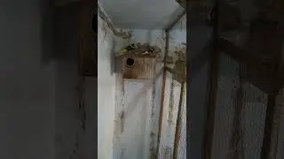 26 июля 2023 г.