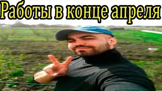 СЕЗОН 2022. ОСНОВНЫЕ Работы в конце апреля! Обход сада! Фундук