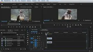 3 Point Editing