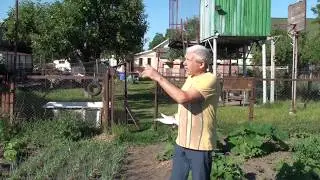 голубеводы Киевщины.в гостях у Петра.20.06.Мисник И