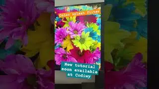 Learn how to create a simple color splash filter. This tutorial will be available soon at codiwy.com