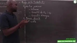 Course - Seconde S - SVT: Production and productivity in an ecosystem / Measuring productivity