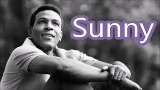 Marvin Gaye   Sunny     +   lyrics