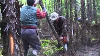 Рыболовные истории