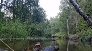 Ловля ручьевой форели !