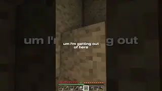 can somebody pls tell me what was that noise | #minecraft #shorts