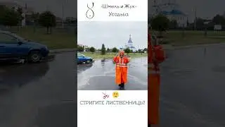 Стригу лиственницы