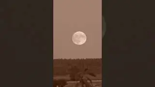 Восход луны Timelapse Moonrice.