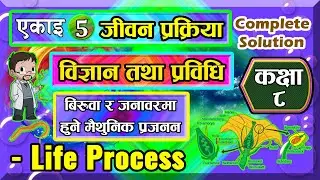 5.2 class 8 science chapter 5 | Science and Technology | unit 5 | Life Process | 5.2 Full Exercise |
