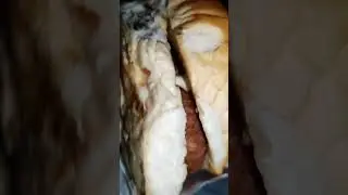 DOUBLE BURGER