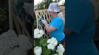 🔴ПЕРЕГОРОДКА СВОИМИ РУКАМИ🙌🪚 #diy#декор#дача#garden #рукоделие#сад#home #поделка#переделка#ikea