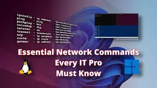 Essential Network Commands Every IT Pro Must Know
