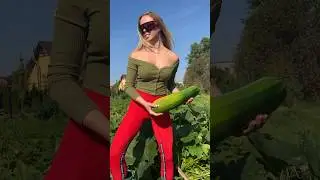 Day in the village☀️ #short #shorts #zucchini #nature #cooking