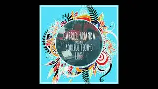 #114 Gabriel Ananda Presents Soulful Techno - Live, kinda