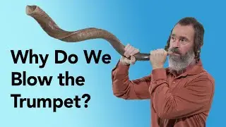 Preceded by a Shofar | Yahweh's Fall Holy Days