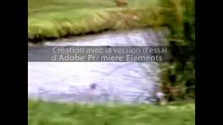 test5