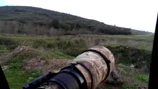 Çalı kuşu fotoğrafı çekmek :)