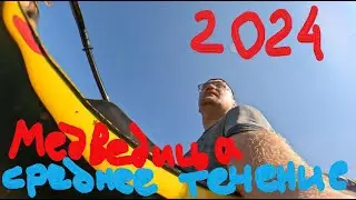 Медведица (Тверская) в среднем течении (2024)