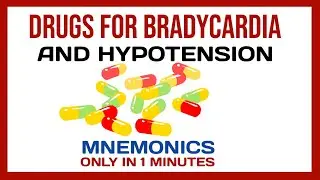 Drugs For Bradycardia & Hypotension Mnemonics | Pharmacology
