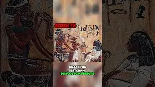 Cerveza en el antiguo Egipto  Historia y comercio  #curiosidades #cerveza