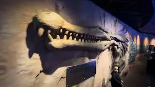 15 сентября 2023 г.
