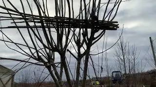 Самообеспечение на земле: свои палки и хлысты.
