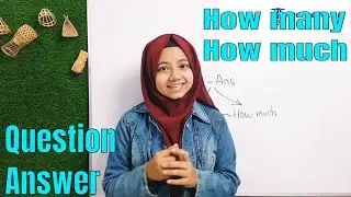 How many – How much দিয়ে প্রশ্নঃ এবং উত্তর | How to ask questions with how many and how much
