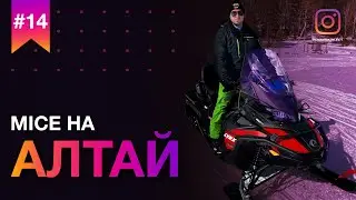 MICE на Алтай