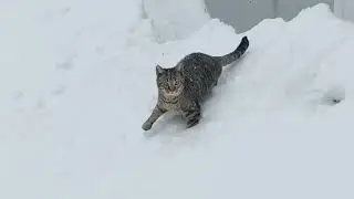 Движ на новогодних каникулах