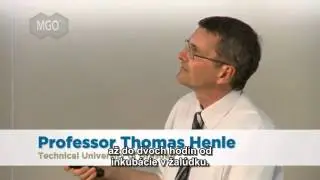 Kde v tele účinkuje Manuka med?