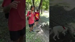 КАК ПОЯВИЛАСЬ НОР?