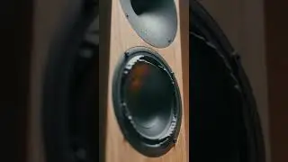 Buchardt A10 Purifi Woofer in 60fps #buchardt #hifispeakers #purifi
