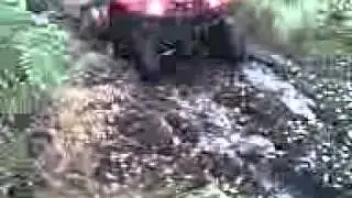sheepy gets the quad stuck