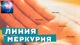 Линия Меркурия. Бизнес и Деньги. Здоровье и хиромантия