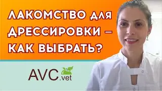 Как выбрать лакомство для дрессировки? Советы ветеринарного врача!