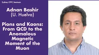 Adnan Bashir (U. Huelva): Pions and Kaons, From QCD to the Anomalous Magnetic Moment of the Muon