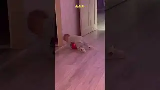 Гимнастика 😂