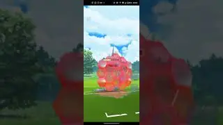 Shiny Swablu trainer rage quits Little Jungle Cup