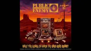 Public Enemy - State Of The Union (STFU) feat. DJ Premier