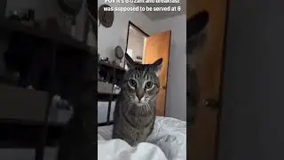 Hilarious Moments We Can All Relate To 😂