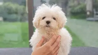 You want to smell her?