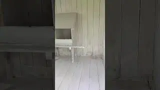 приборка территории выгула для кур | жизнь в деревне