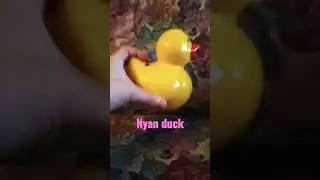 nyan duck