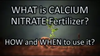 WHAT is CALCIUM NITRATE Fertilizer | HOW & WHEN to use | Increase PLANT Strength | Best Fertilizer