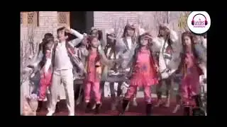 Chitti gul