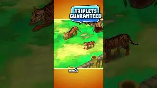 Purrfect Event! 🐱 3 Day Event in Zoo 2: Animal Park 🐈🐈‍⬛ #zoo2animalpark #mobilegame