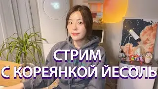 Стрим про себя и Корею с кореянкой Йесоль 🇰🇷