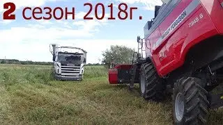 Последний день убираем пшеницу. ЛИТВА комбайн Massey Ferguson 7347S.